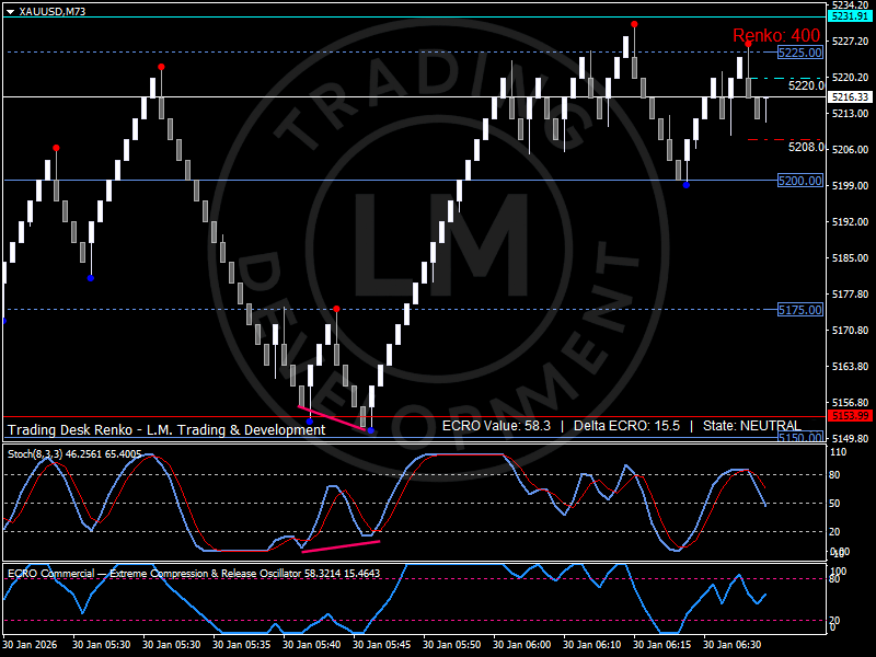Renko chart of Gold price consolidating near highs as investors treat gold as a fear asset and macro hedge amid systemic risk and policy uncertainty