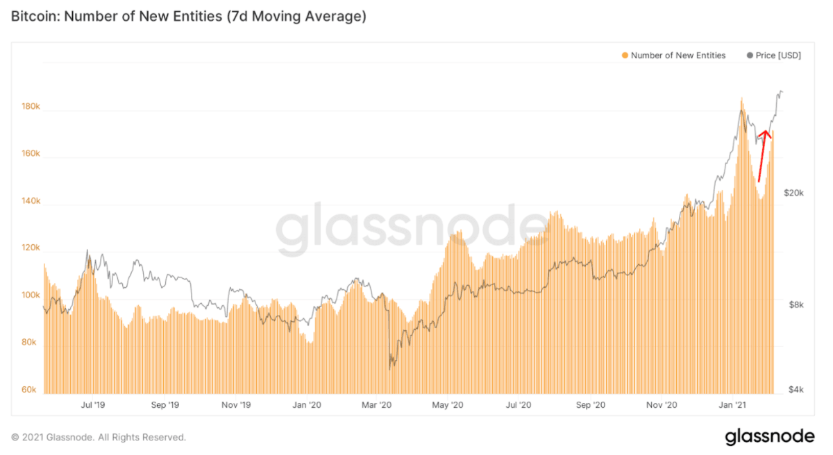 Bitcoin new entities chart