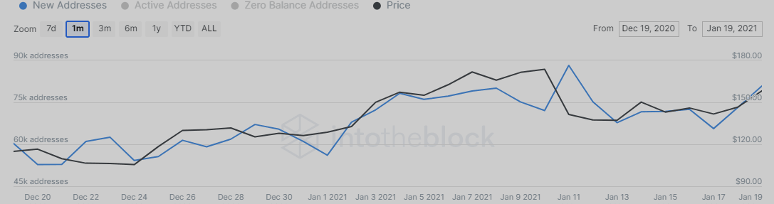 Litecoin newly-created addresses