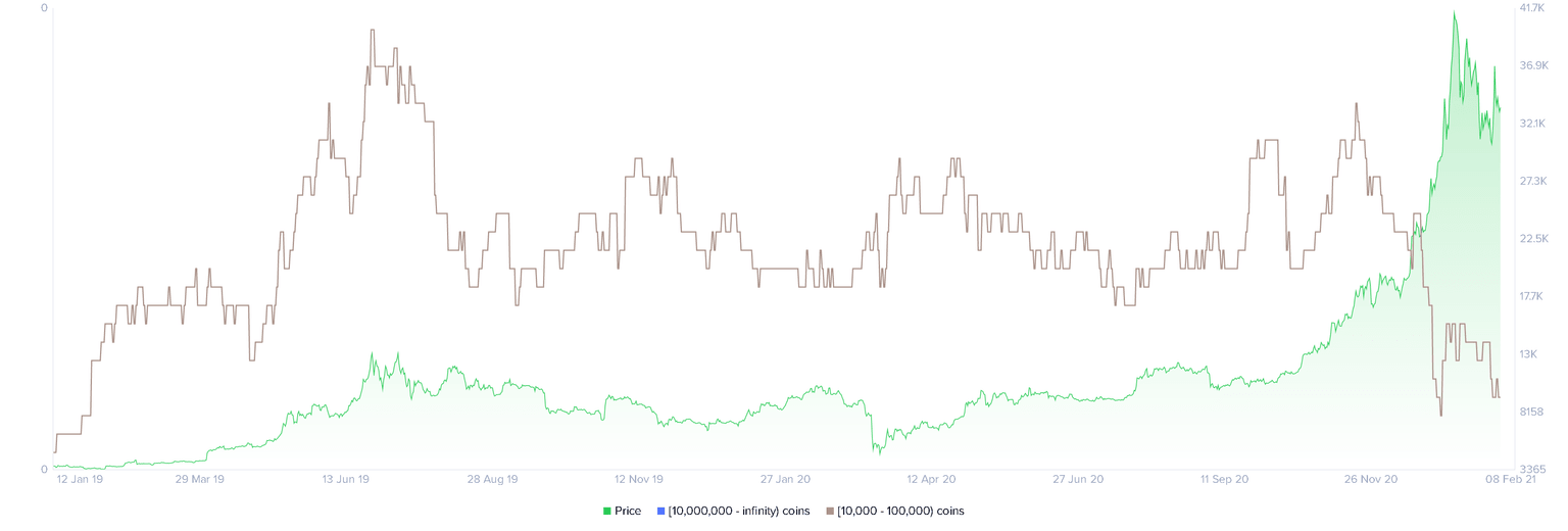 Bitcoin holder distribution