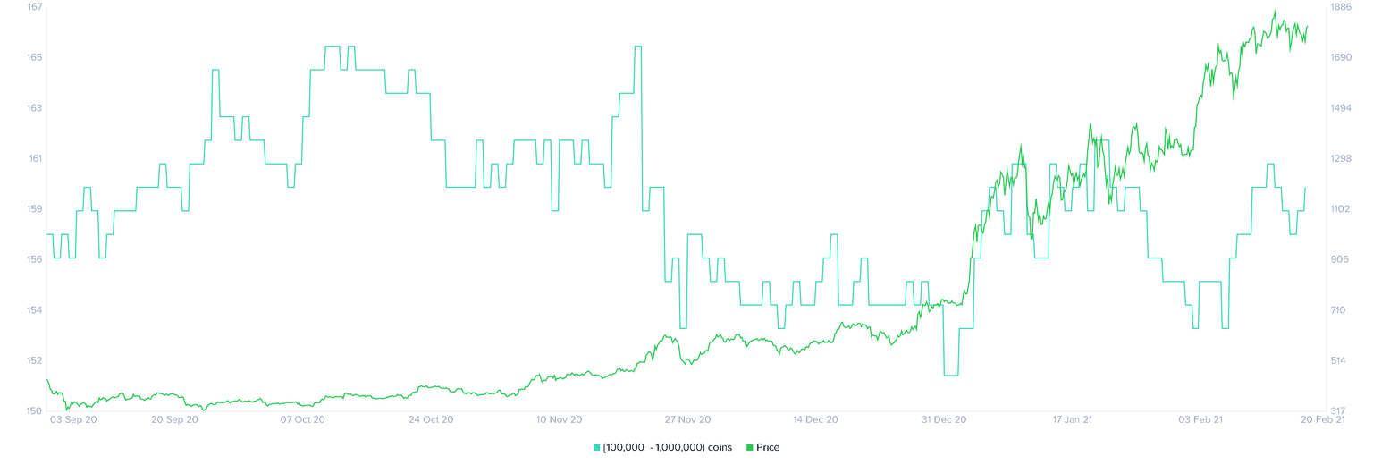 Ethereum holder distribution chart