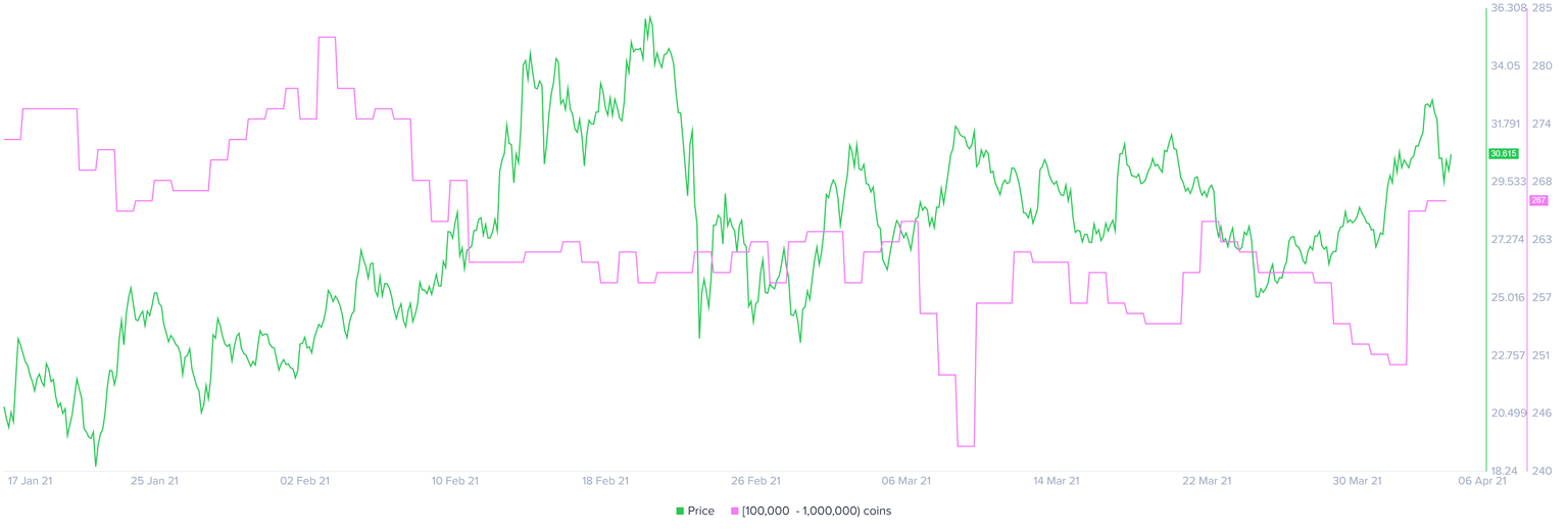 LINK whale holder distribution chart
