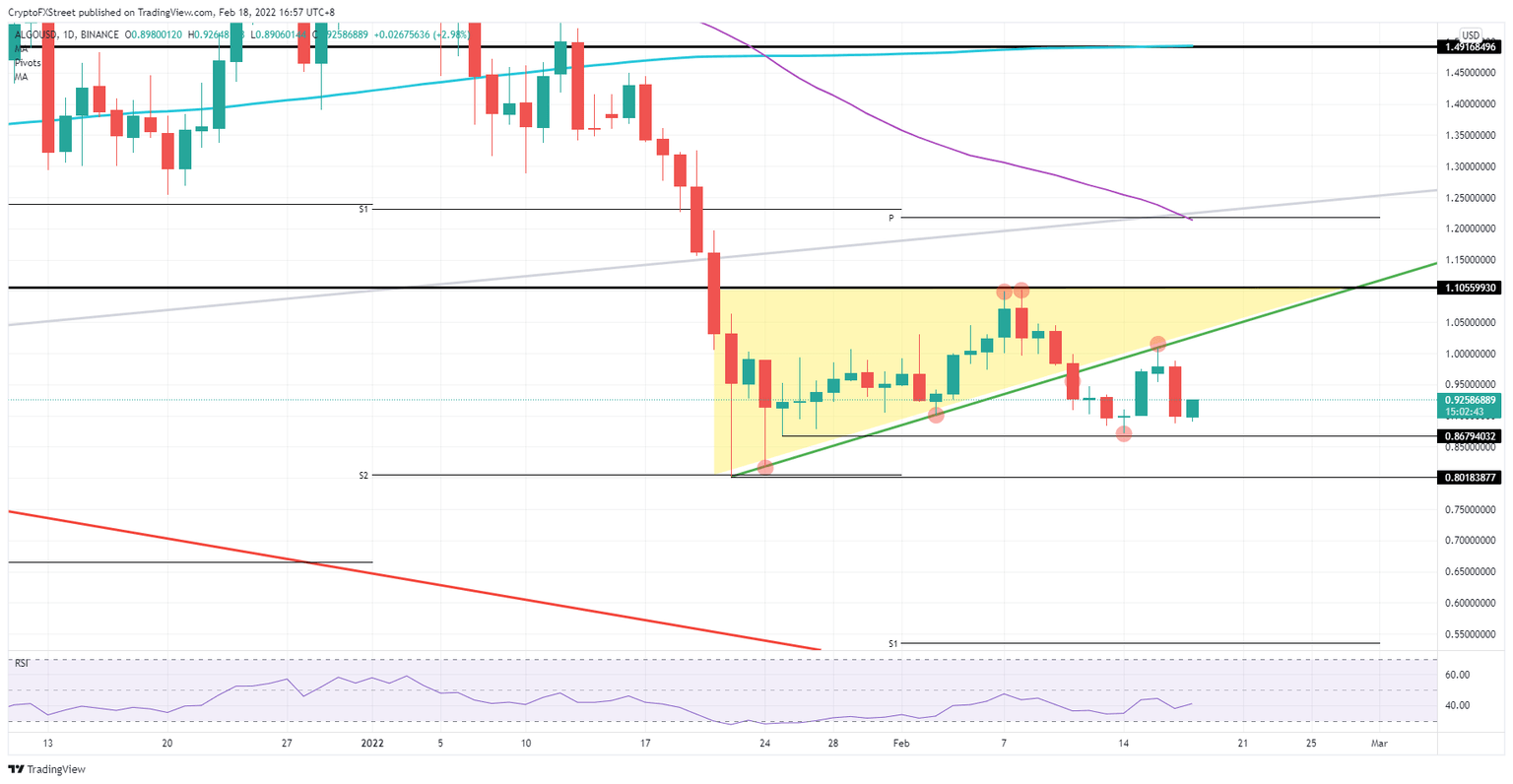 ALGO/USD daily chart