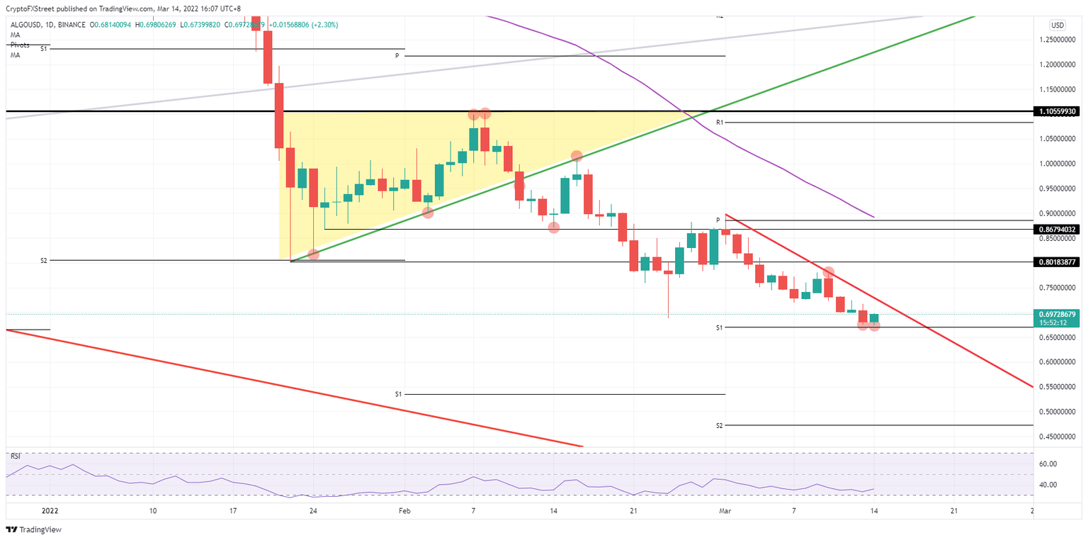ALGO/USD daily chart