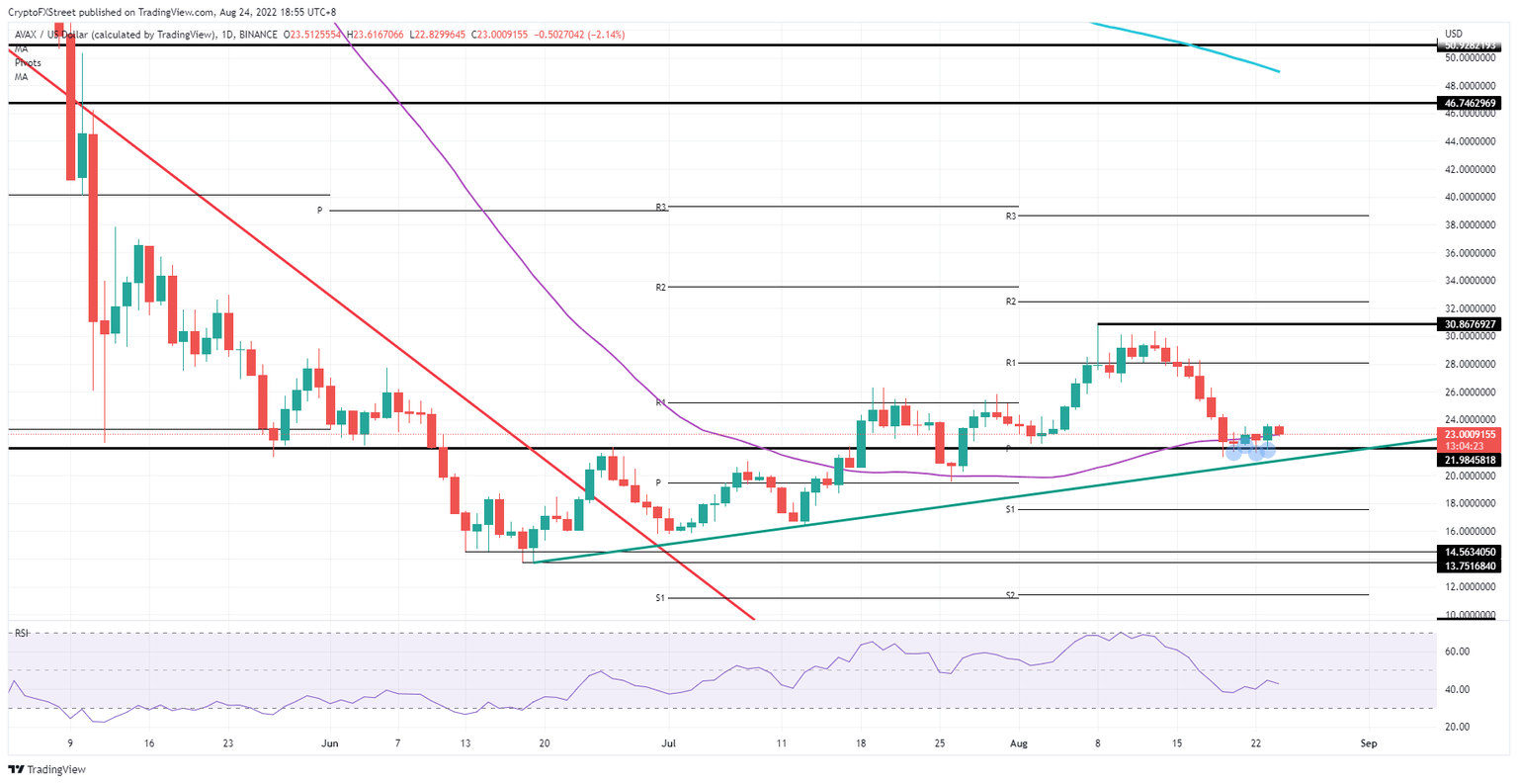 AVAX/USD Daily chart