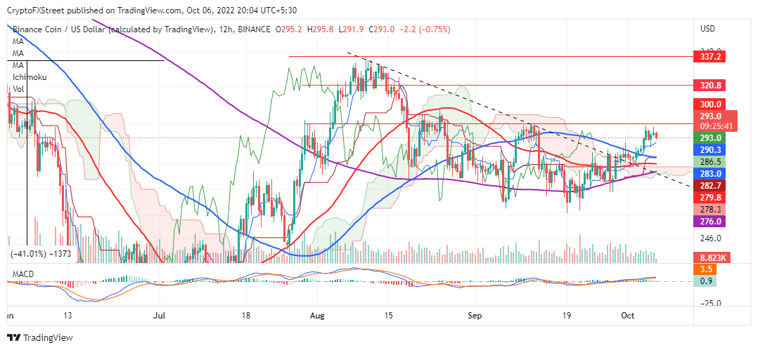 BNB/USD 12-hour chart