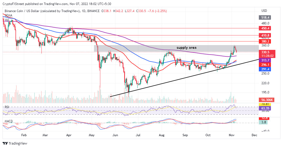 Binance Coin Supply Distribution