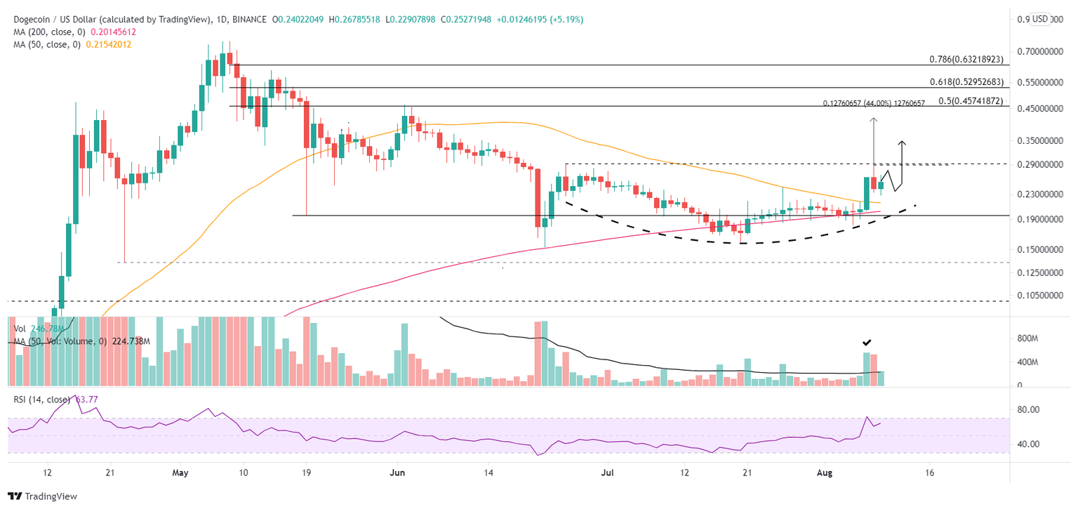 DOGE/USD daily chart