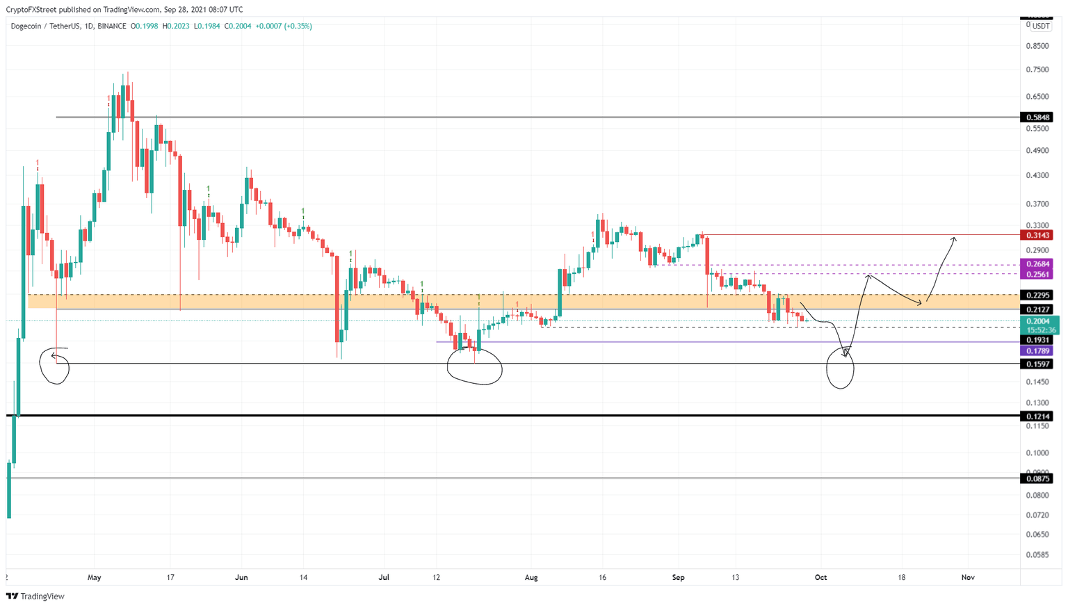 DOGE/USDT 1-day chart