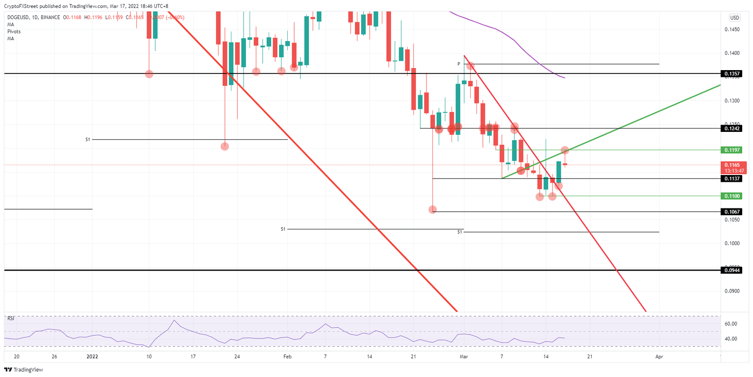 DOGE/USD daily chart