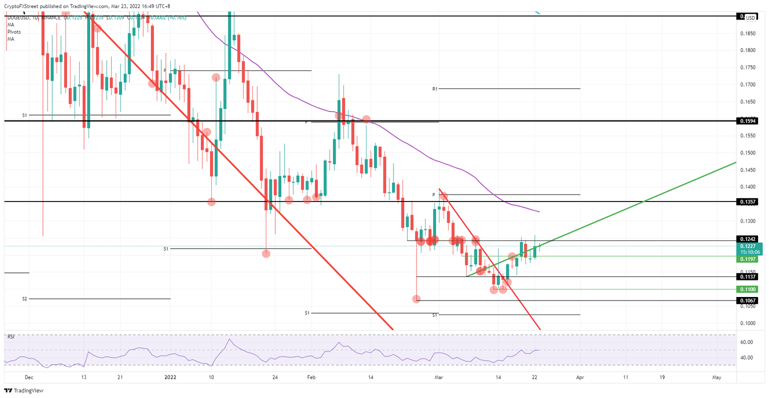 DOGE/USD daily chart