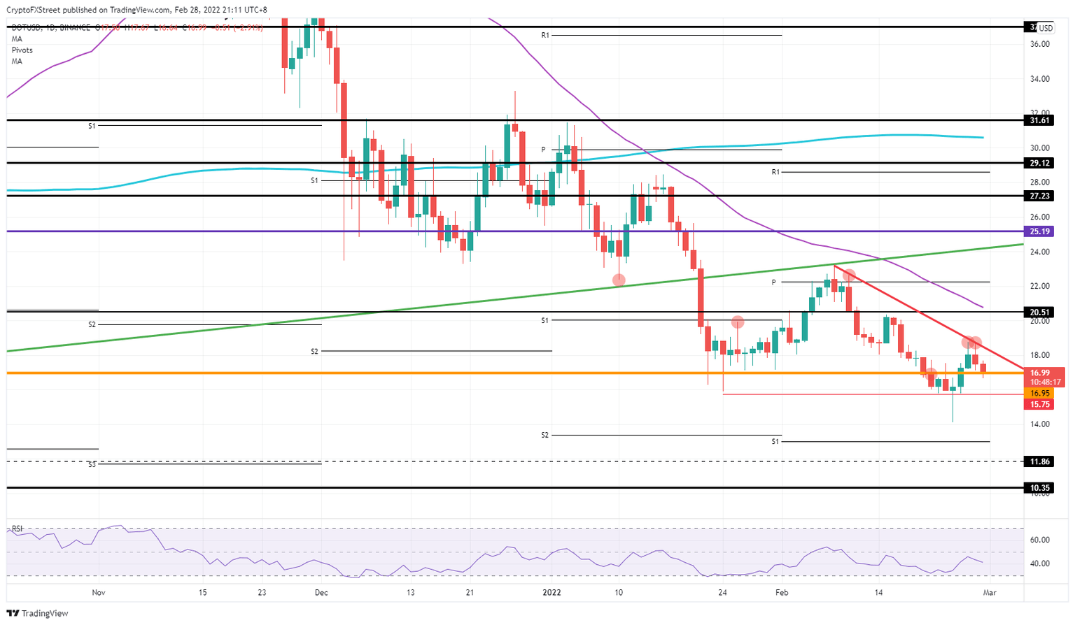 Polkadot/USD daily chart