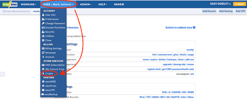 Ethereum domain service