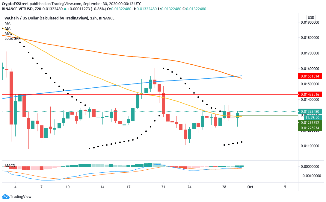 vetusd 12-hour chart