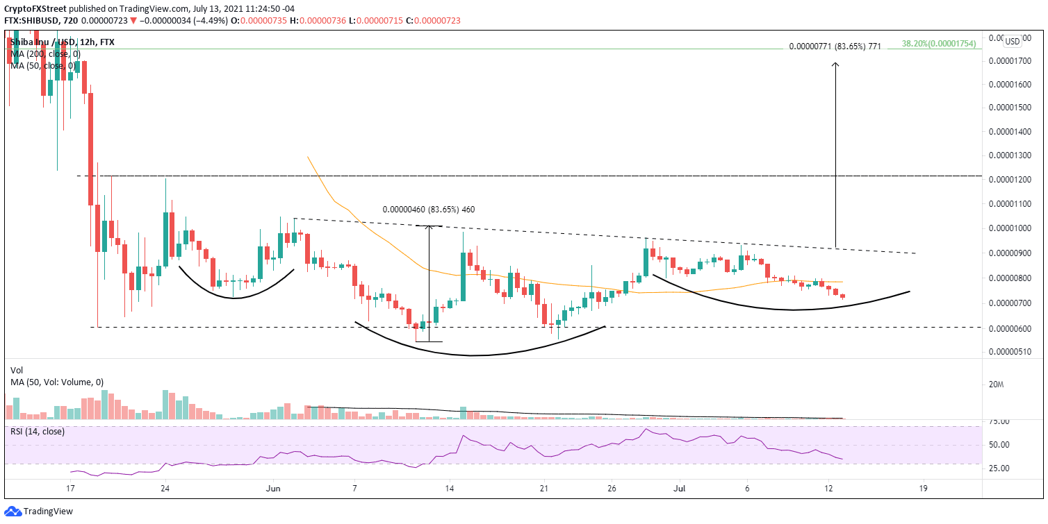 SHIB/USD 12-hour chart