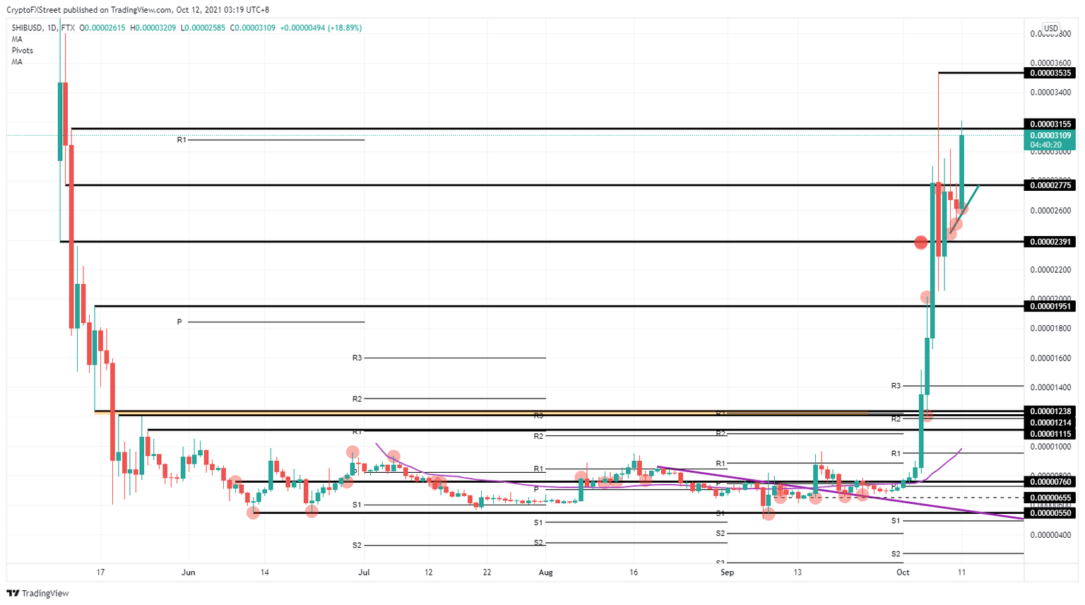 SHIB/USD daily chart