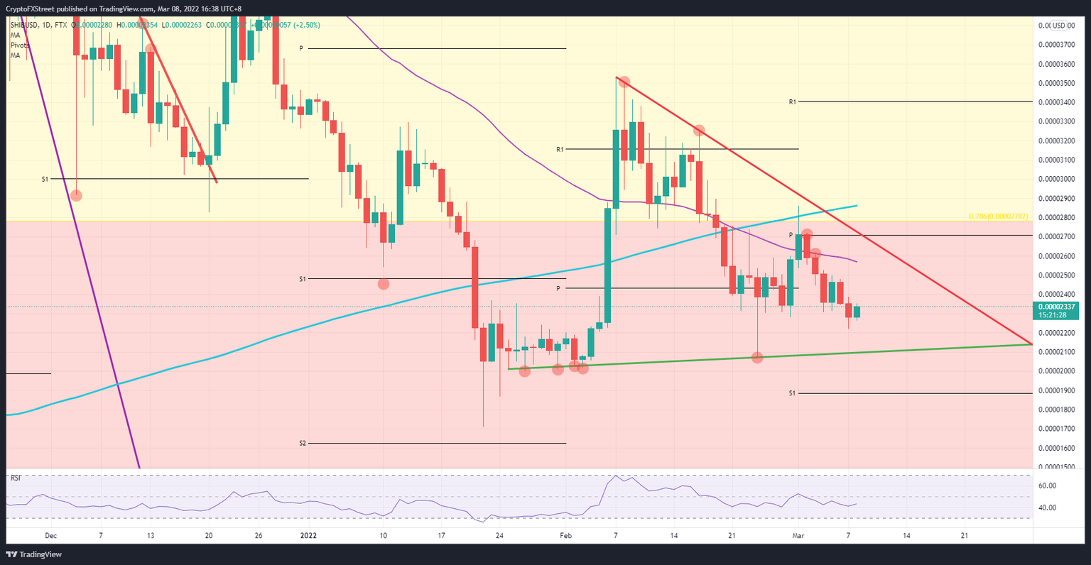 SHIB/USD daily chart