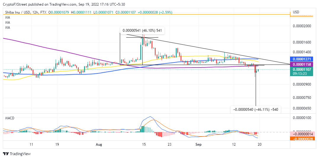 SHIBUSD descending triangle pattern