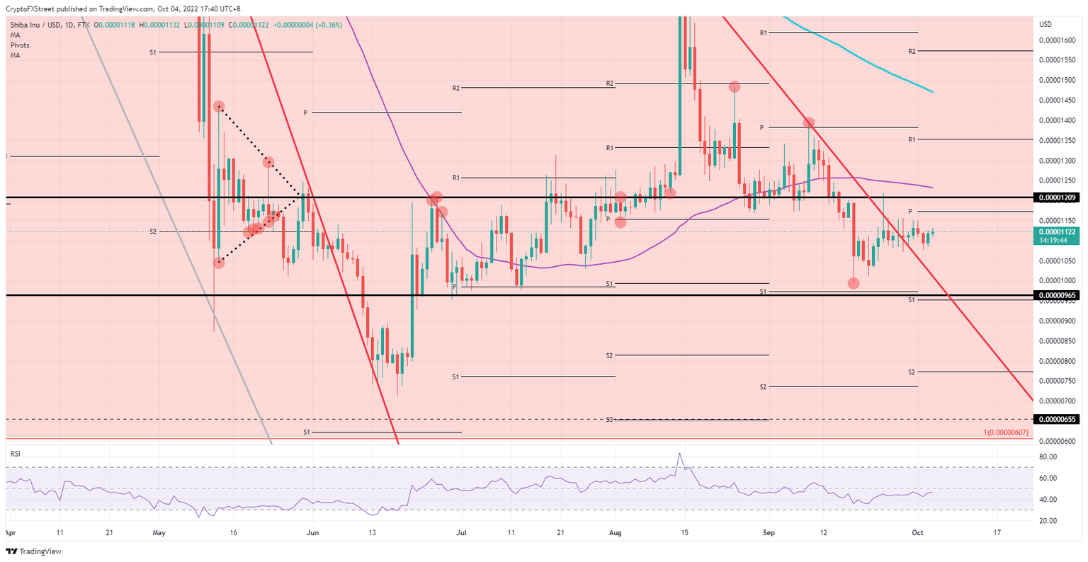 SHIB/USD Daily chart