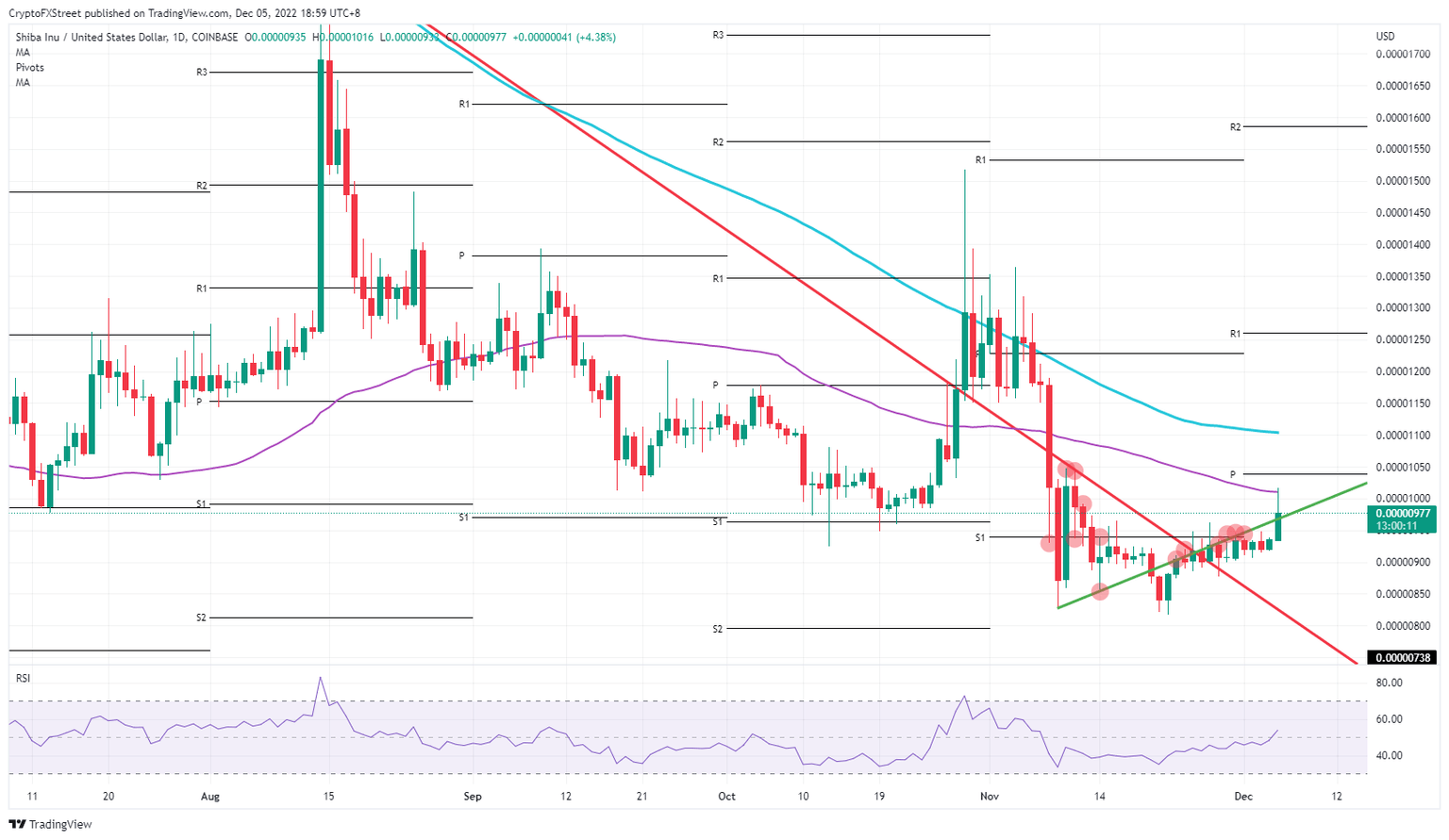 SHIB/USD daily chart