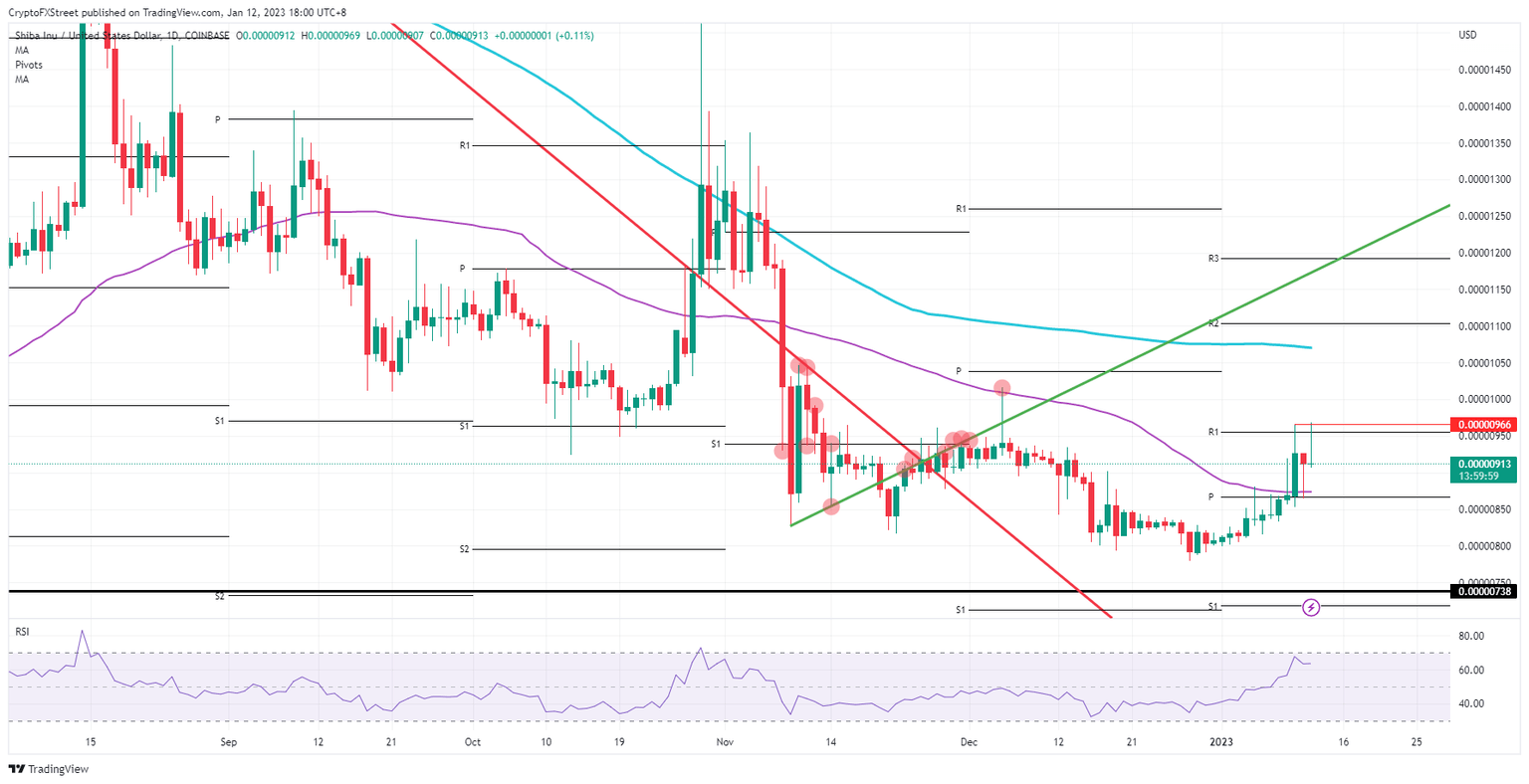 SHIB/USD daily chart