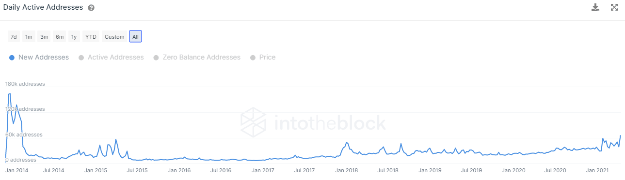 DOGE New Addresses via Intotheblock