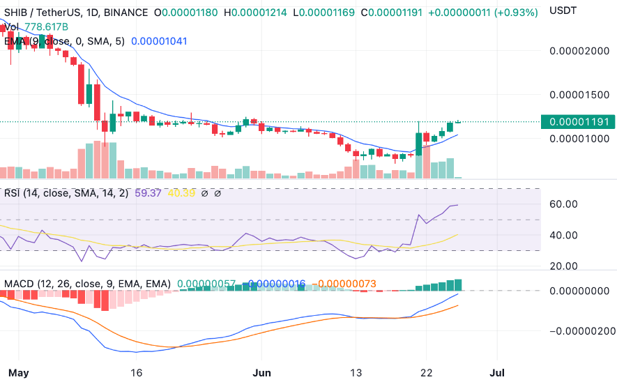 SHIB-USDT price chart