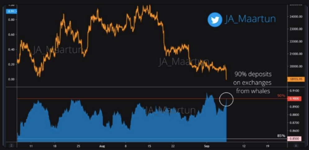 Exchange whale ratio