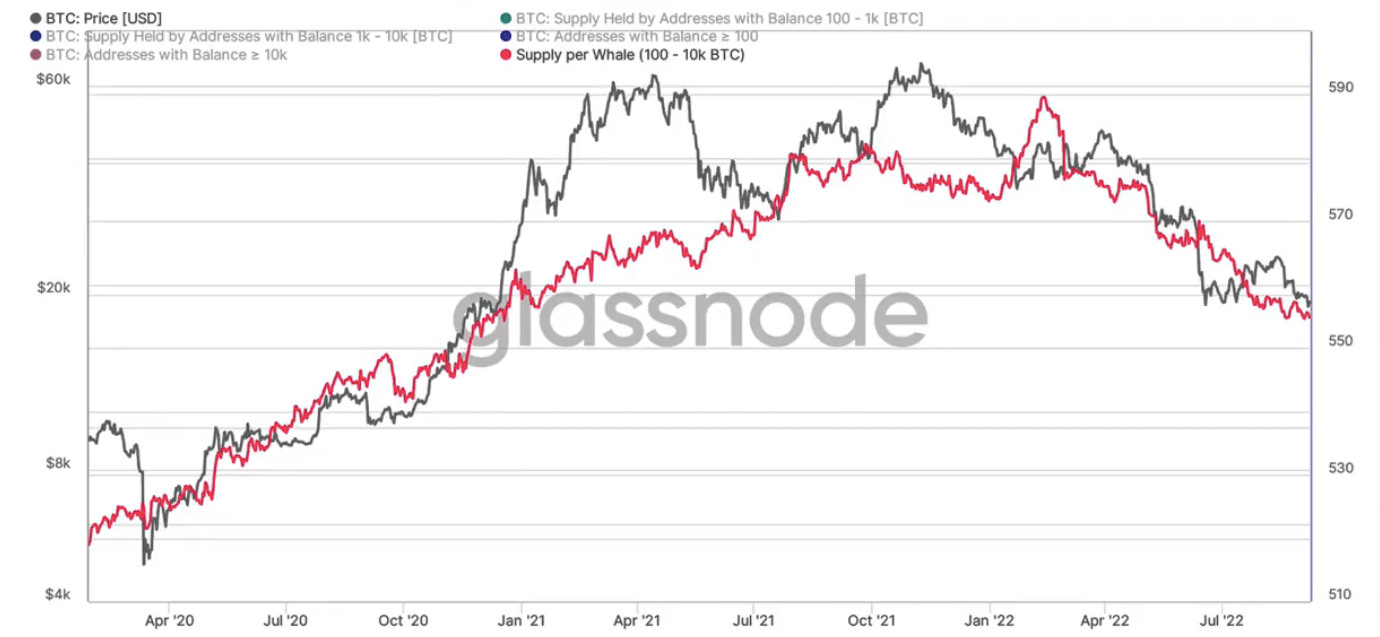 Bitcoin supply per whale