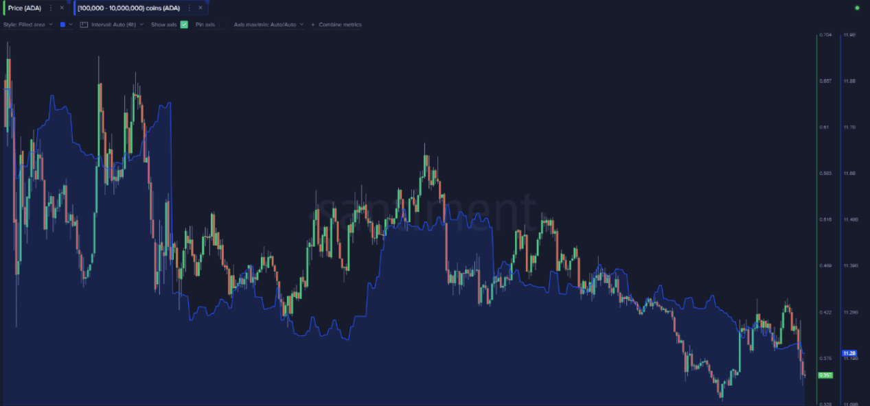 Large wallet investors holding Cardano