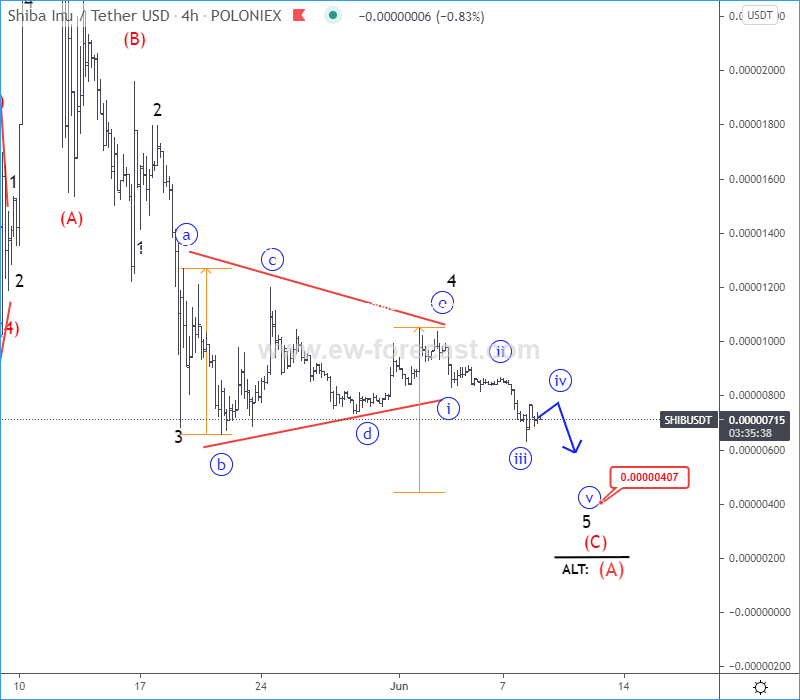 Shiba Inu Elliott Wave Analysis