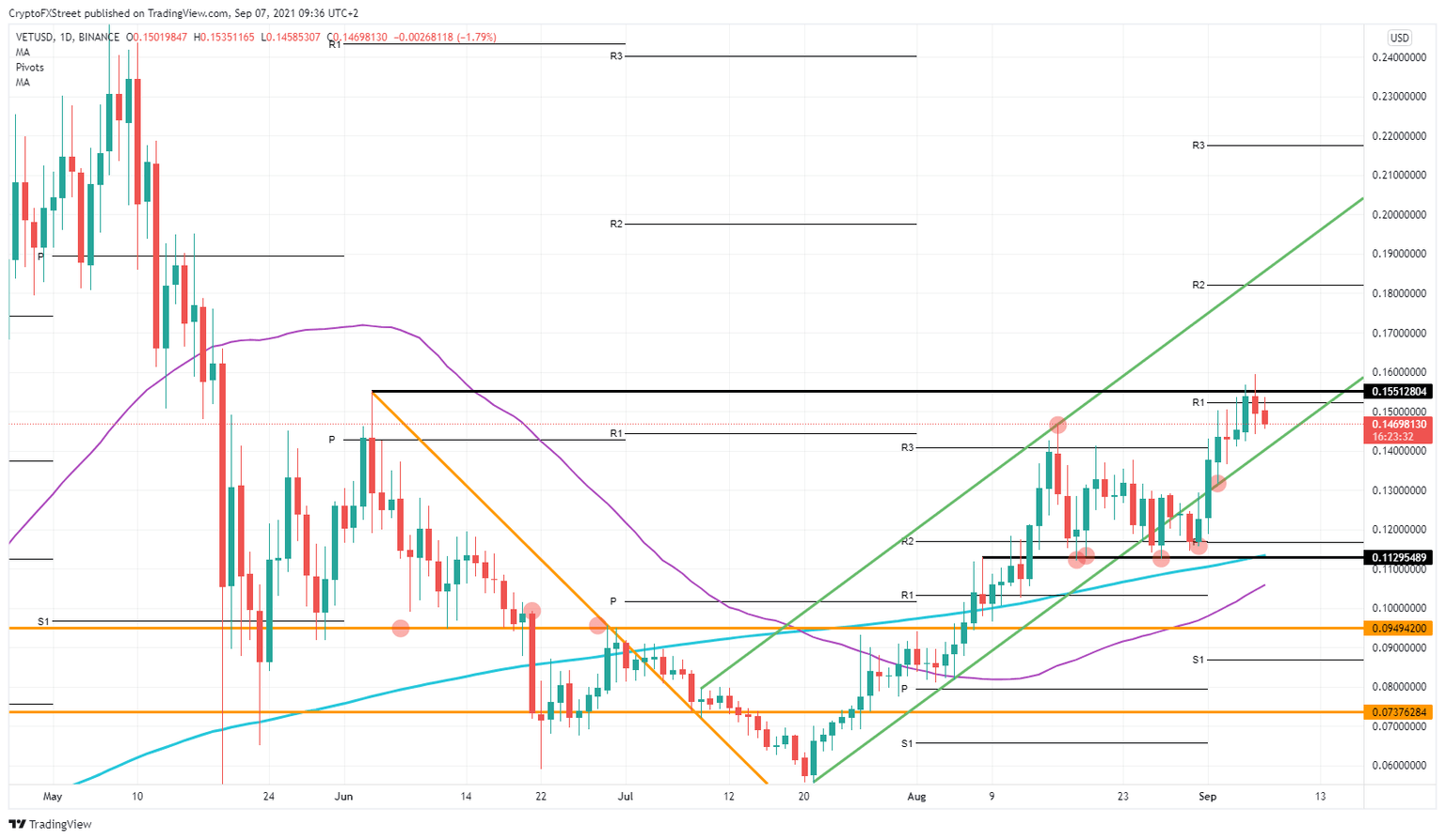VET/USD daily chart
