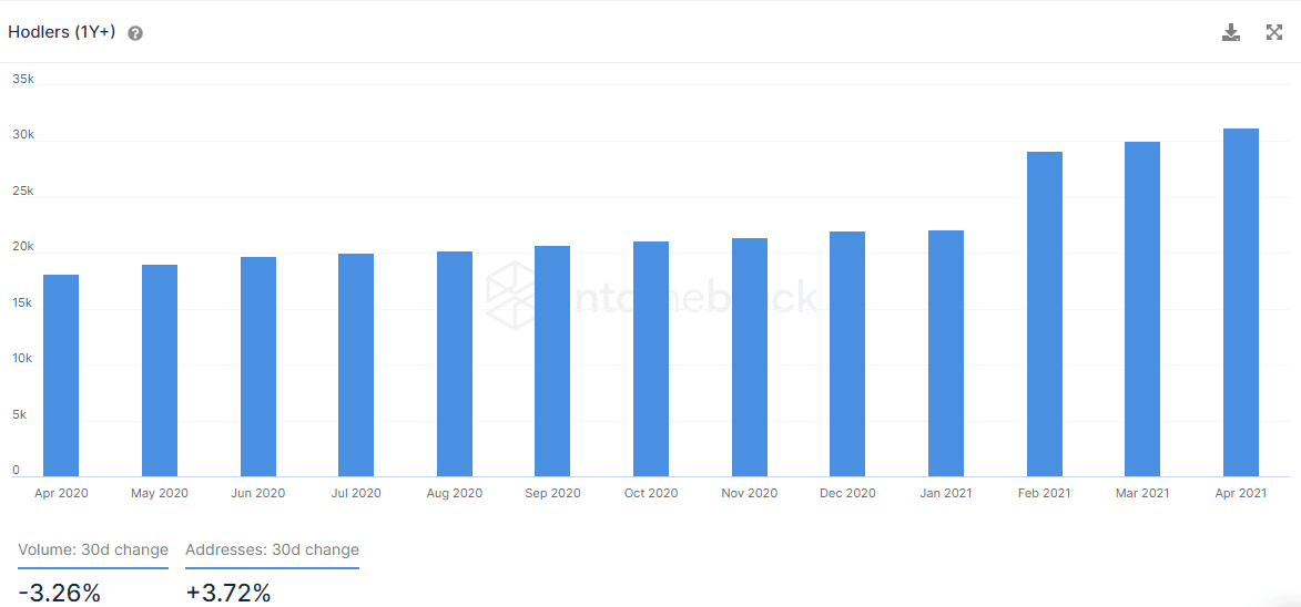 ENJ number of hodlers addresses