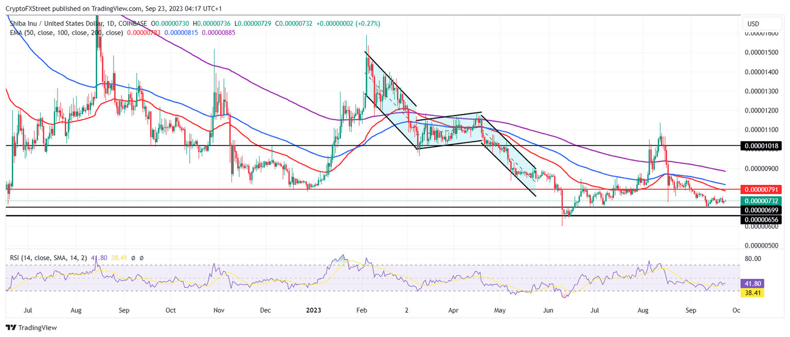 SHIB/USD 1-day chart