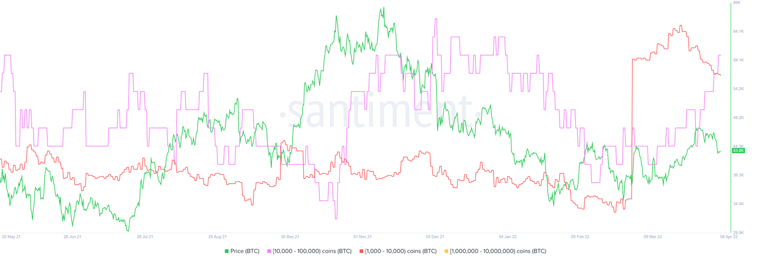 BTC supply distribution