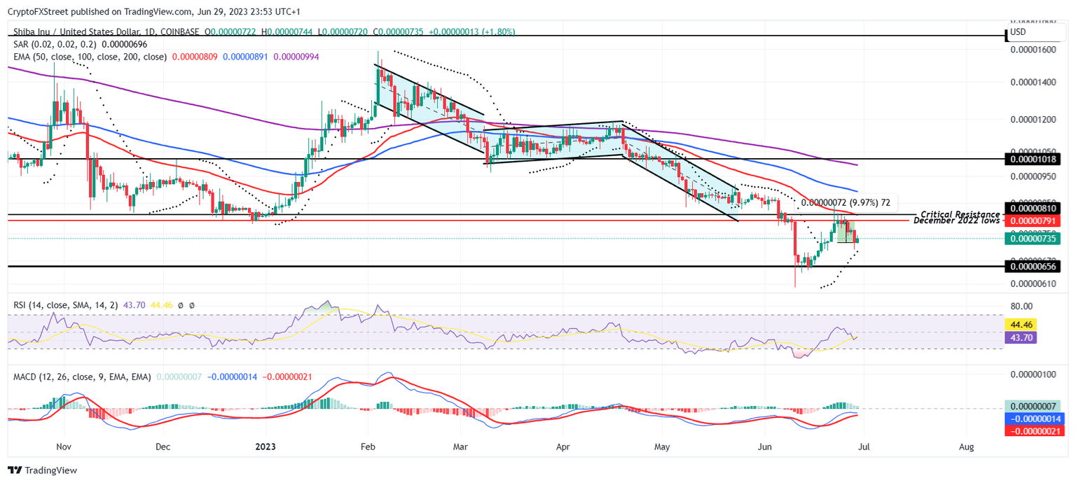 SHIB/USD 1-day chart