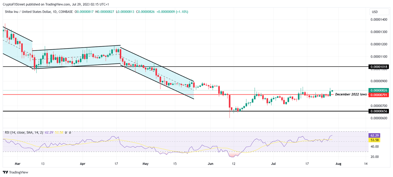 SHIB/USD 1-day chart