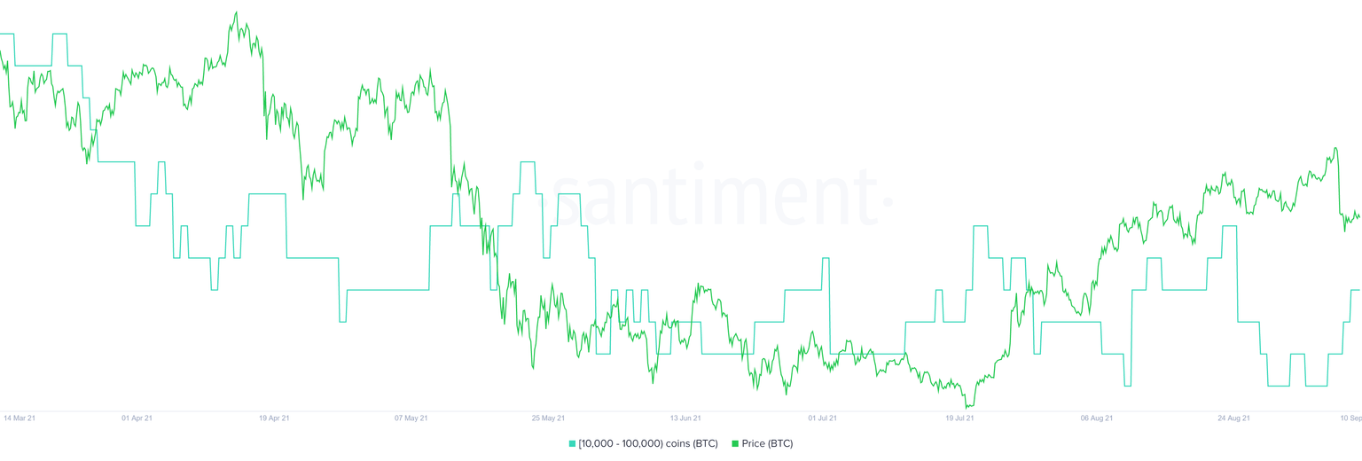 BTC supply distribution chart